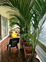Balcony 2