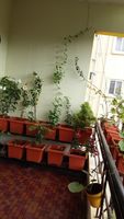 Balcony 1