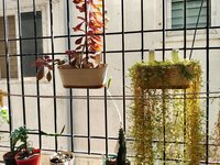 Balcony 1