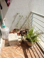 Balcony 1