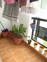 Balcony 1