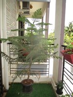 Balcony 2