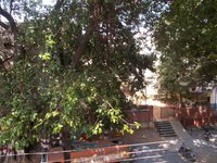 Balcony 3