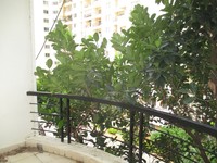 Balcony 1