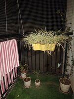 Balcony 2