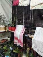 Balcony 1