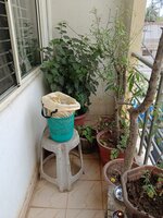 Balcony 3