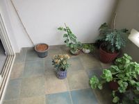 Balcony 1