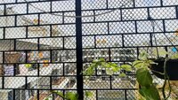Balcony 1