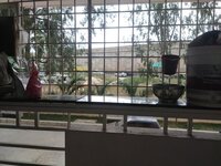 Balcony 1