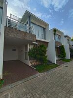 Garden 1
