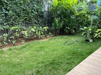 Garden 1