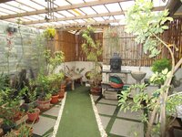 Garden 1
