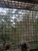 Balcony 1