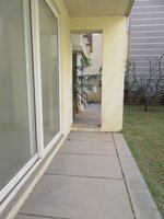 Garden 1