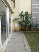 Garden 1