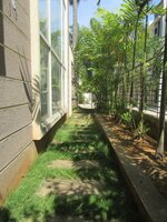 Garden 1