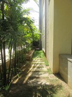 Garden 1