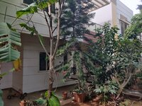 Garden 1
