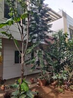 Garden 1