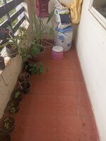 Balcony 1
