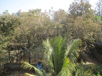 Balcony 1