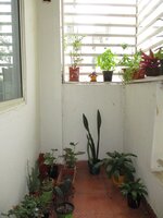 Balcony 1