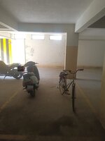 parkings 1