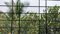 Balcony 3