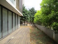 Back Yard 1