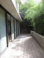 Front Yard 1