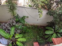 Garden 1