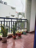 Balcony 1