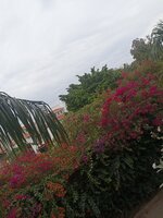 balconies 1