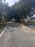 Unit:  Approach Road