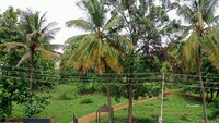 Balcony 1