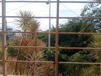 Balcony 1