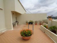 Terrace 1