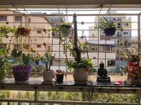 Balcony 1