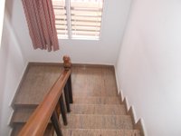 Terrace 1