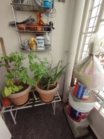 Balcony 1