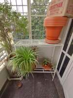 Balcony 1