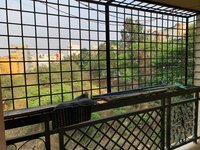 Balcony 1