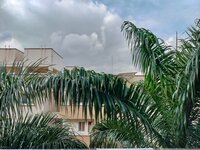 Balcony 1