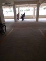 parking 1
