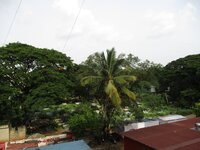Balcony 1