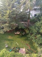 Balcony 1
