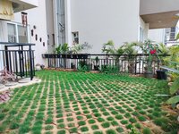 Garden 1