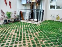 Garden 1