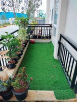 Garden 1